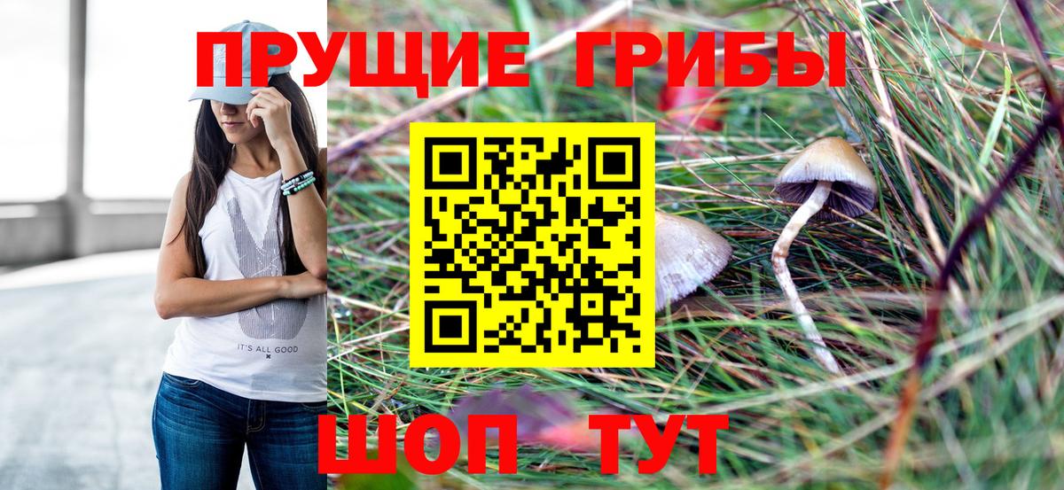 Галлюциногенные грибы MAGIC MUSHROOMS  Вход с VPN  Кудрово 